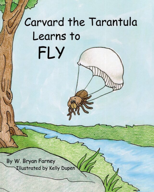 Carvard Flies